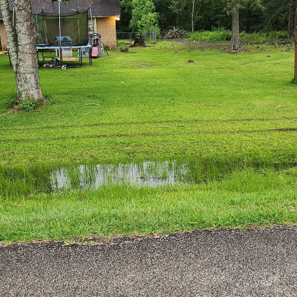 A residential yard after a Canopycowboys take-down: equipment tracks and a stump in the grass, a brick house and trampoline to the left, remaining trees, and a brush pile along the fence.